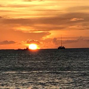 Meet your Posher, Elisa